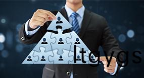 組織(zhi)架構(gòu)